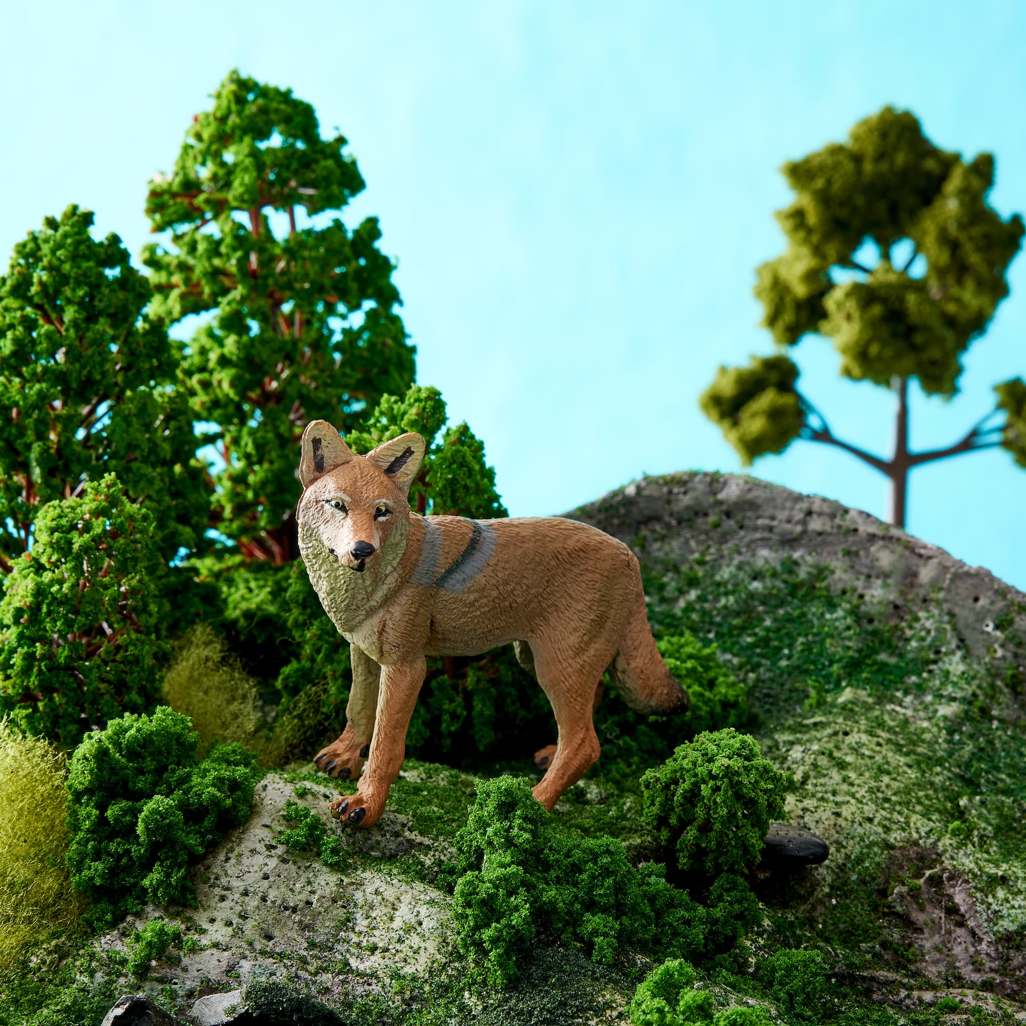 Safari Ltd® Coyote